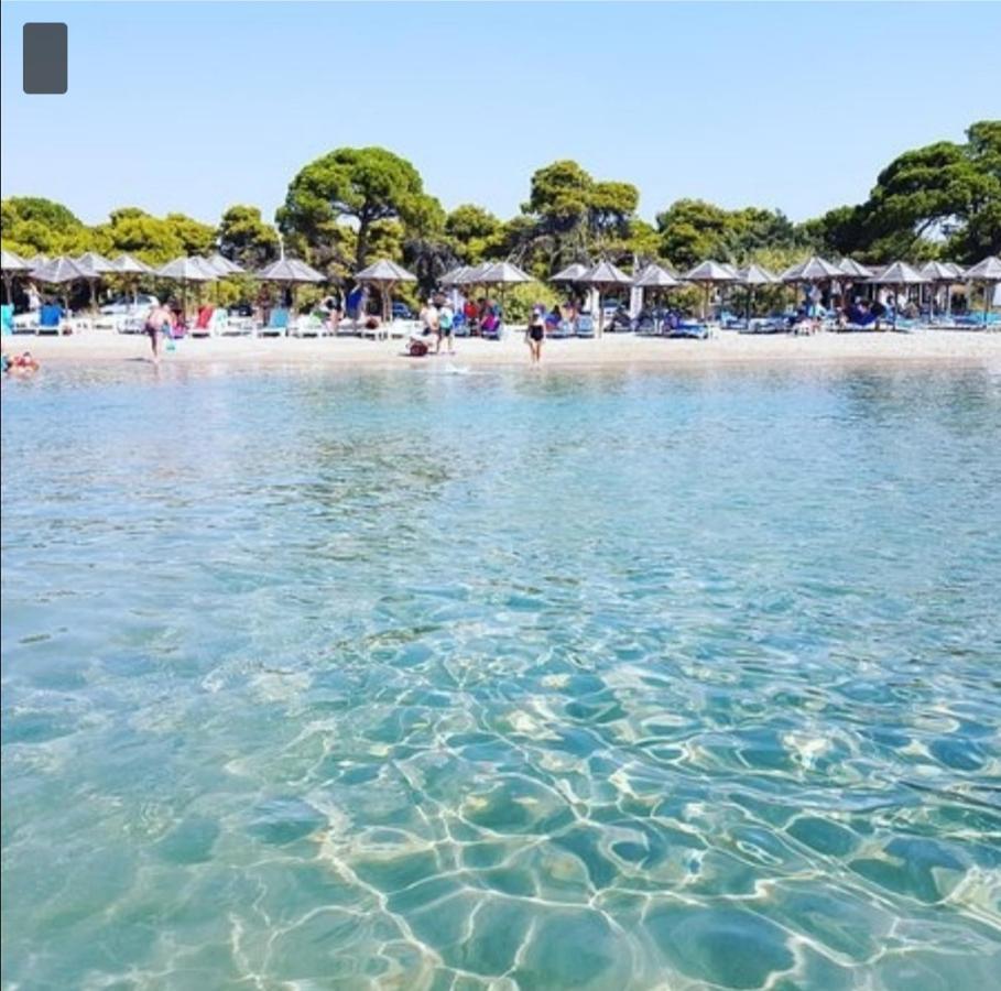Athens Villa Artemis Pool Sea Airport Екстер'єр фото