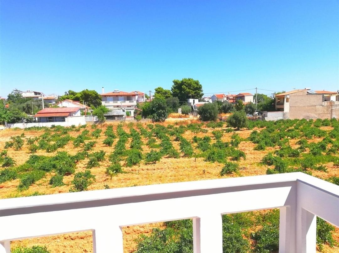 Athens Villa Artemis Pool Sea Airport Екстер'єр фото
